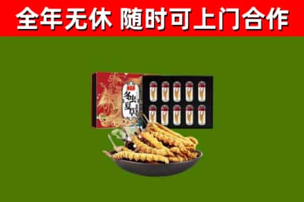 沁县回收冬虫夏草价格